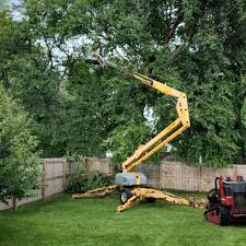 Best Lawn Maintenance Plans  in Pender, NE